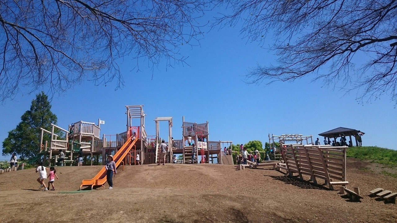 🌳 니오도리 공원(니오도리 코엔) 이미지 4